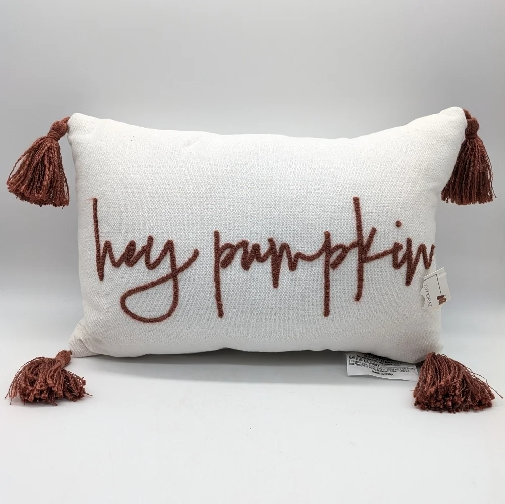 ✨3/$15 Hey Pumpkin White Burnt Red/Orange Embroidered Fall Autumn Throw Pillow